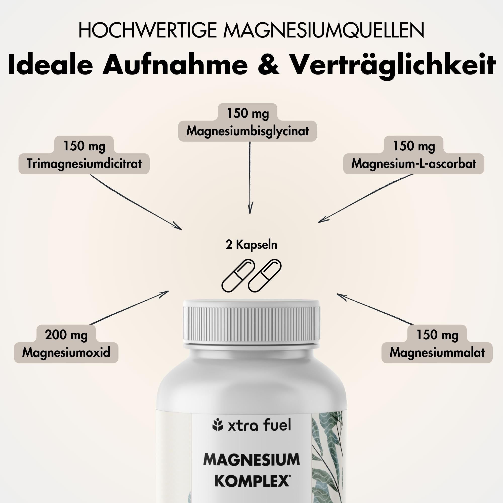 Grafik mit Inhaltsstoffen. 150 mg Magnesiumbisglycinat, 150 mg Magnesium-L-ascorbat, 150 mg Trimagnesiumdicitrat, 150 mg Magnesiummalat, 200 mg Magnesiumoxid.