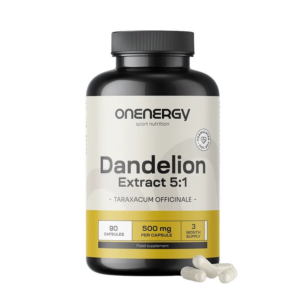 OnEnergy Löwenzahn – Extrakt 5:1 90 St Kapseln
