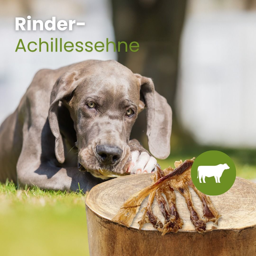 Getrocknete Lamm-Lunge für Hunde, 100% Lamm.
