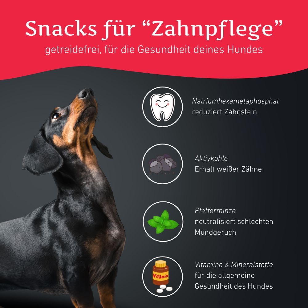 Zahnpflege Snacks - getreidefrei