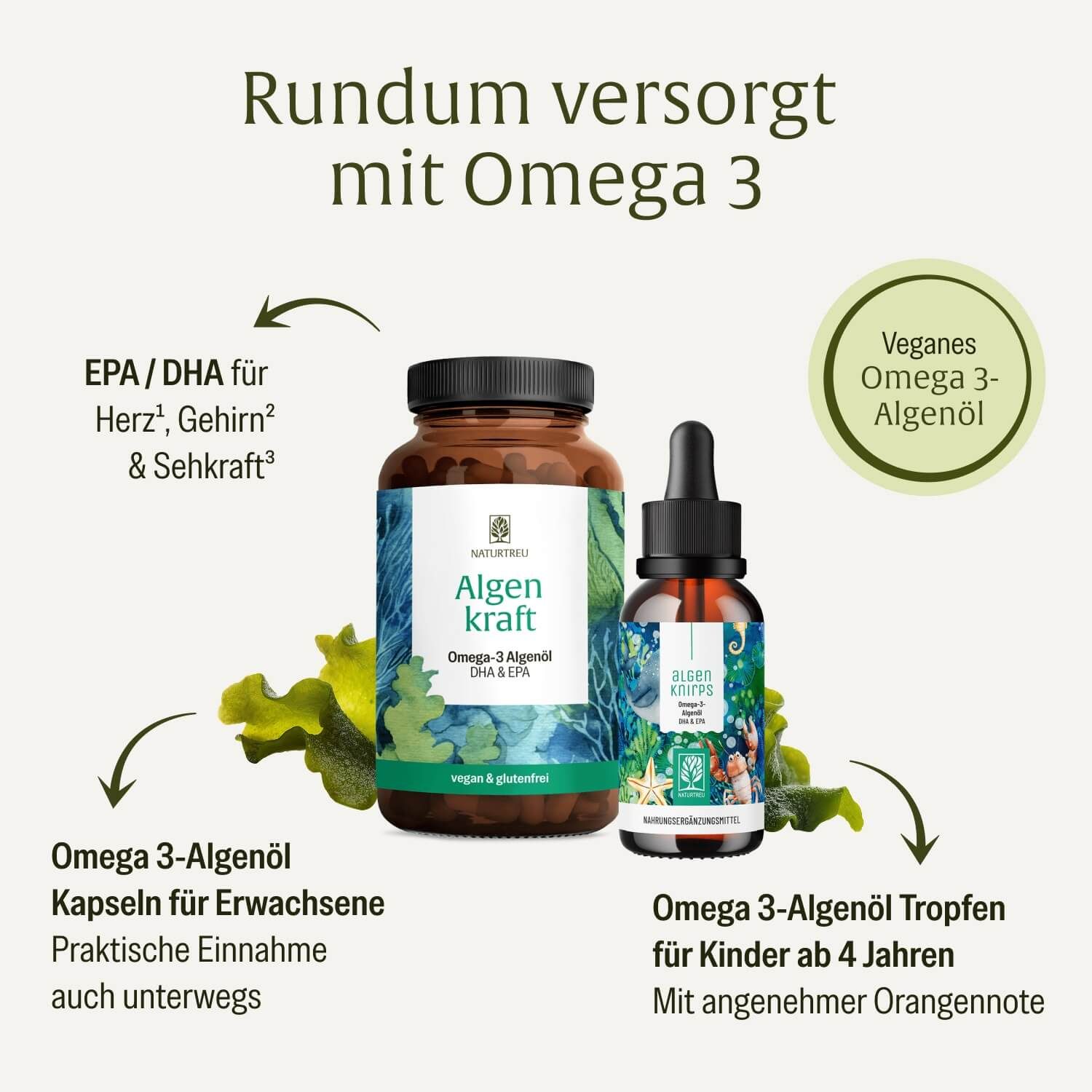 Flasche Algenkraft Kapseln und Flasche Algenknirps Tropfen, umgeben von Seetang-Grafiken.