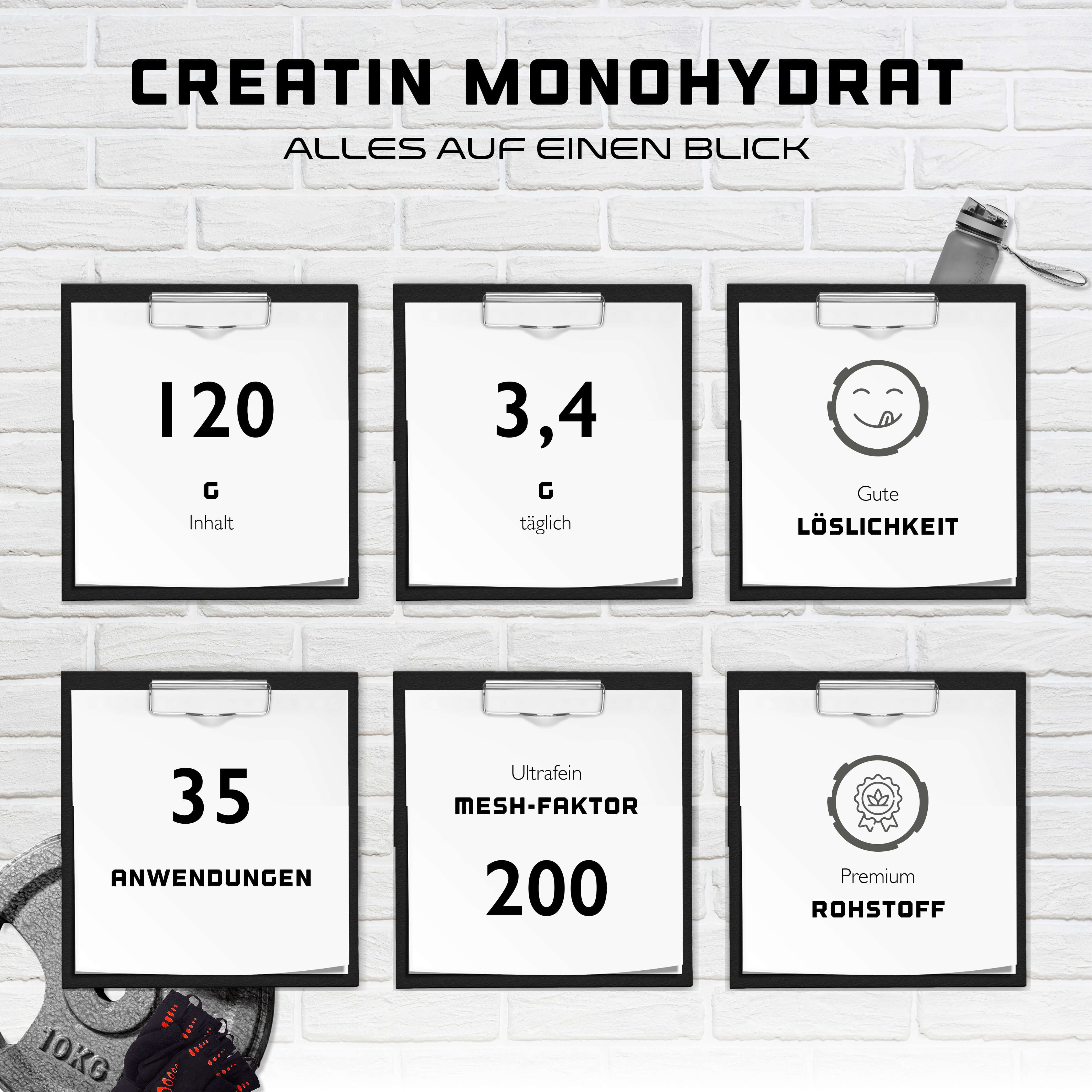 Sechs Tafeln mit Informationen zu Creatin Monohydrat. Enthält Angaben zu Inhalt, Dosierung, Löslichkeit, Anwendungen, Mesh-Faktor und Rohstoff.