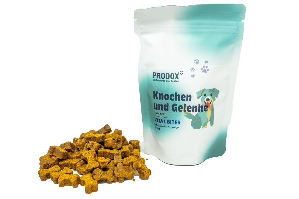 PRODOX Vital Bites-Beutel und Knochenförmige Leckerlis. Aufschrift: Knochen und Gelenke, Vital Bites. Hund-Illustration. Weißer Hintergrund.
