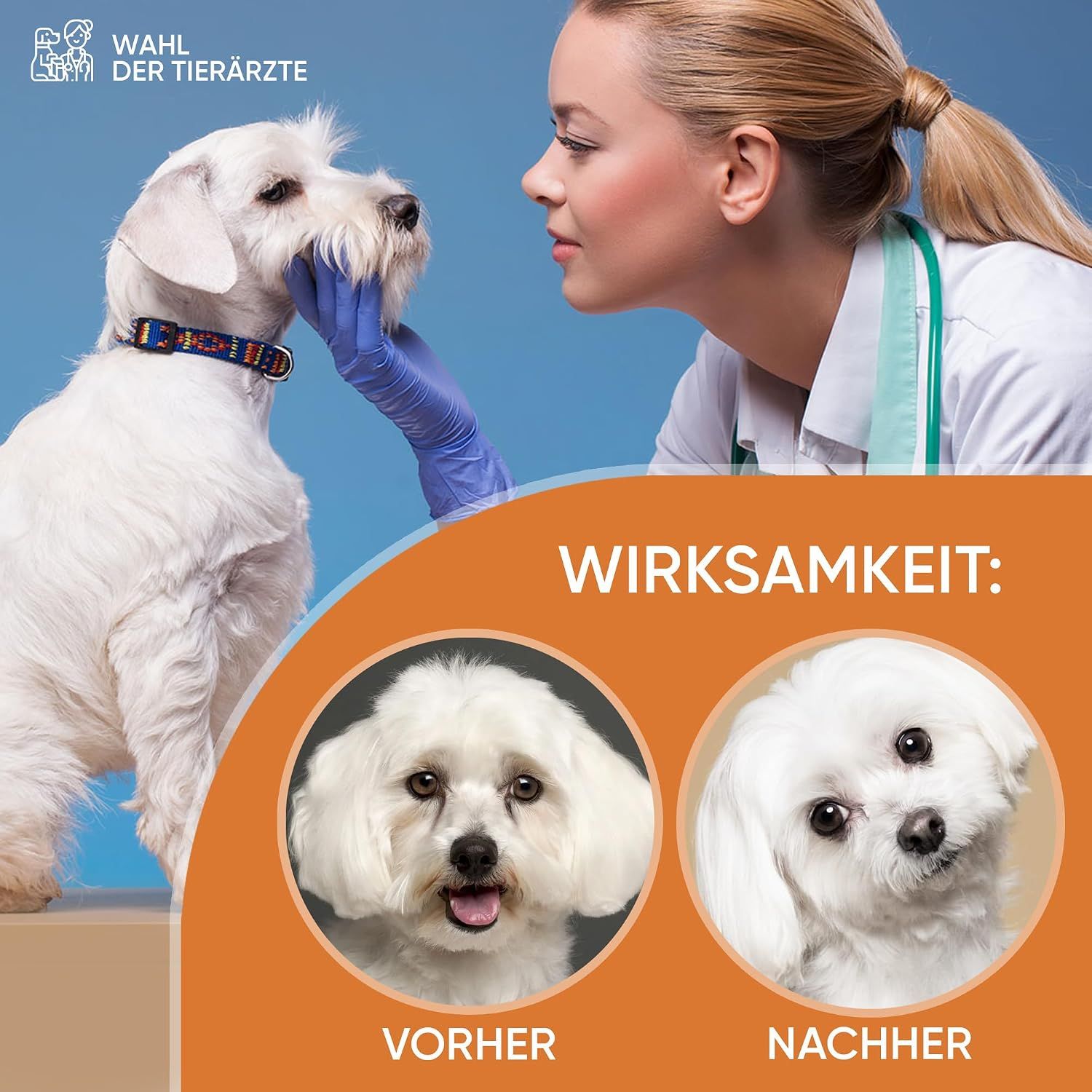 Baviette Augenreiniger für Hunde