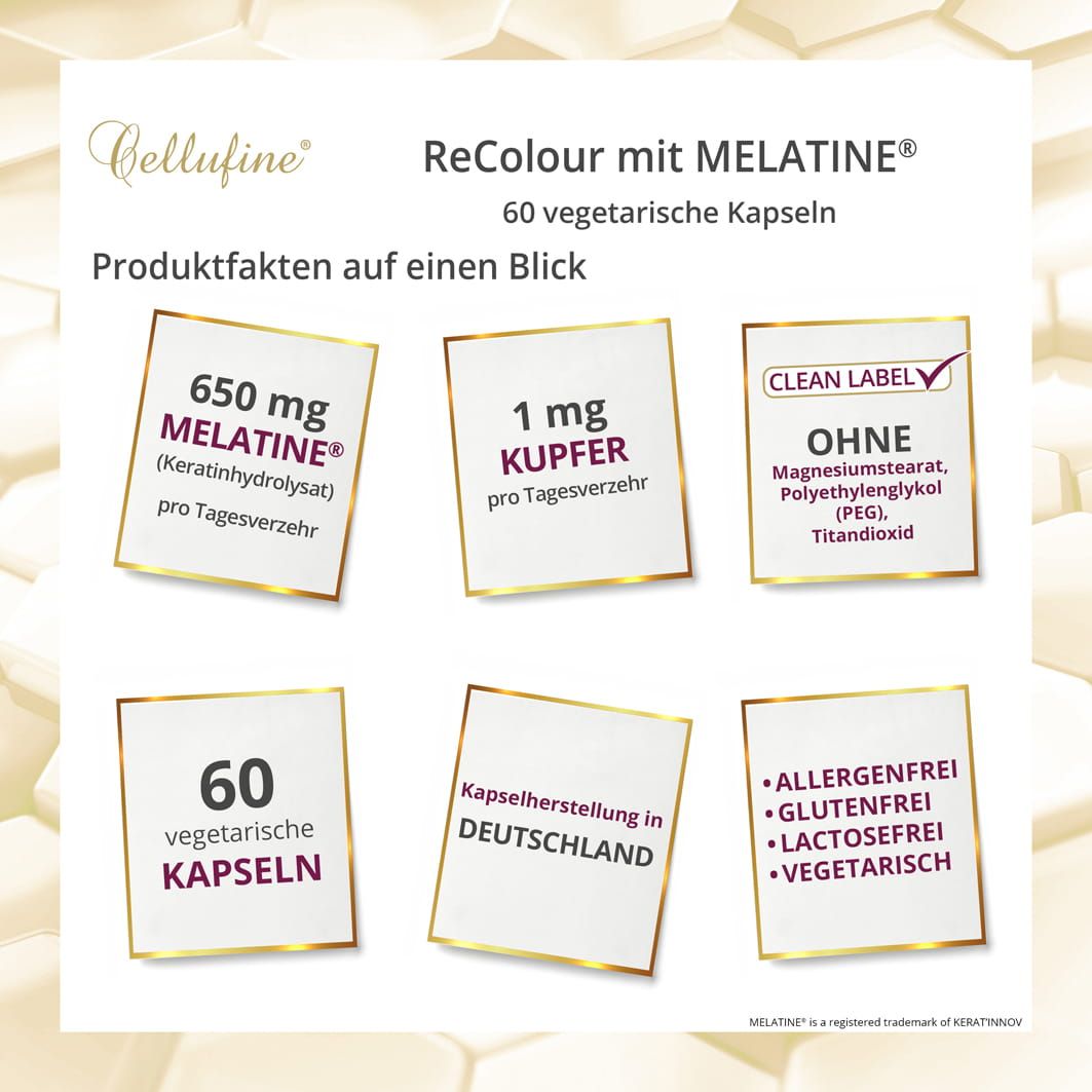 Infografik mit Produktfakten. 6 Felder mit Informationen zu Melatine, Kupfer, Inhaltsstoffen, 60 Kapseln, Herstellung in Deutschland, Allergenfreiheit.