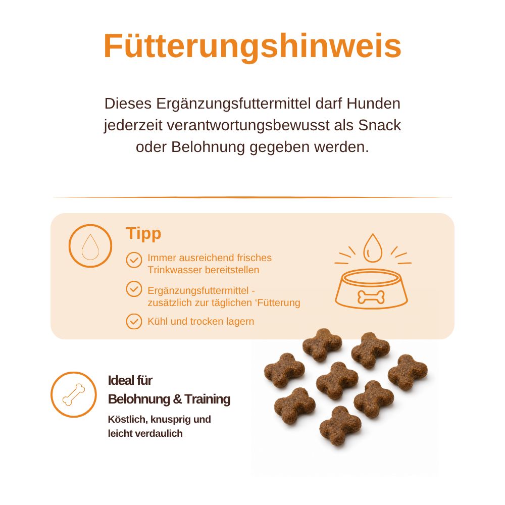 Fütterungshinweise und knusprige, knochenförmige Hundesnacks.