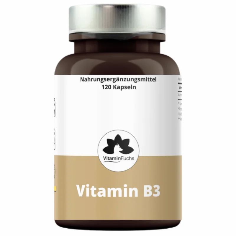 Vitamin B3 von Fuchs 120 St