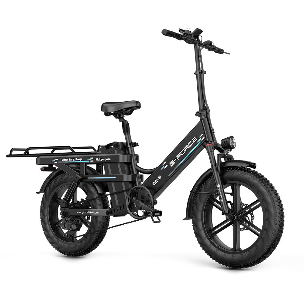 G-FORCE DE-S Elektrisches Lastenrad, 48V 45Ah Akku, Doppelfederung