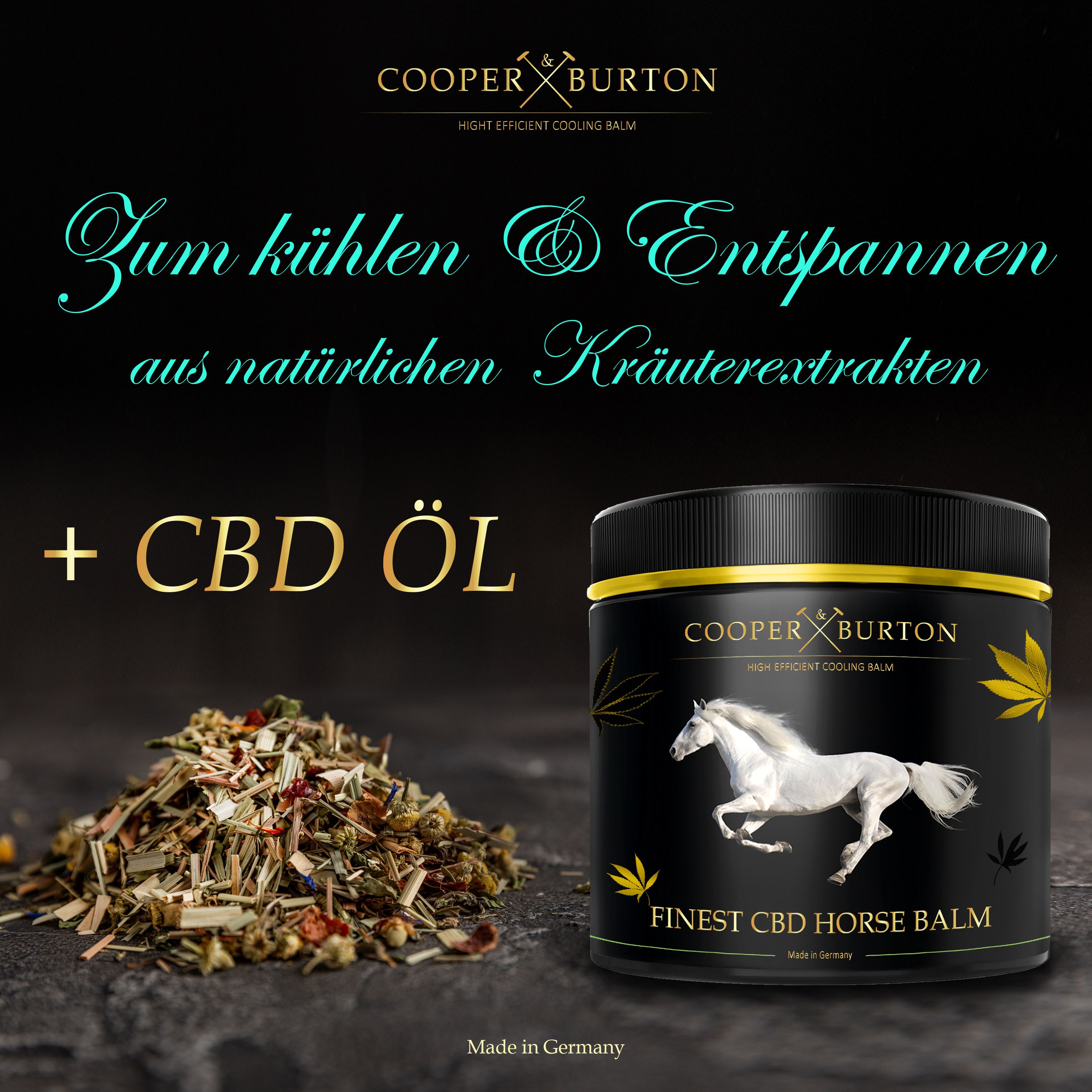 Schwarzer Tiegel mit goldener Aufschrift und weißem Pferd. Text: + CBD ÖL, Zum kühlen & Entspannen, aus natürlichen Kräuterextrakten.