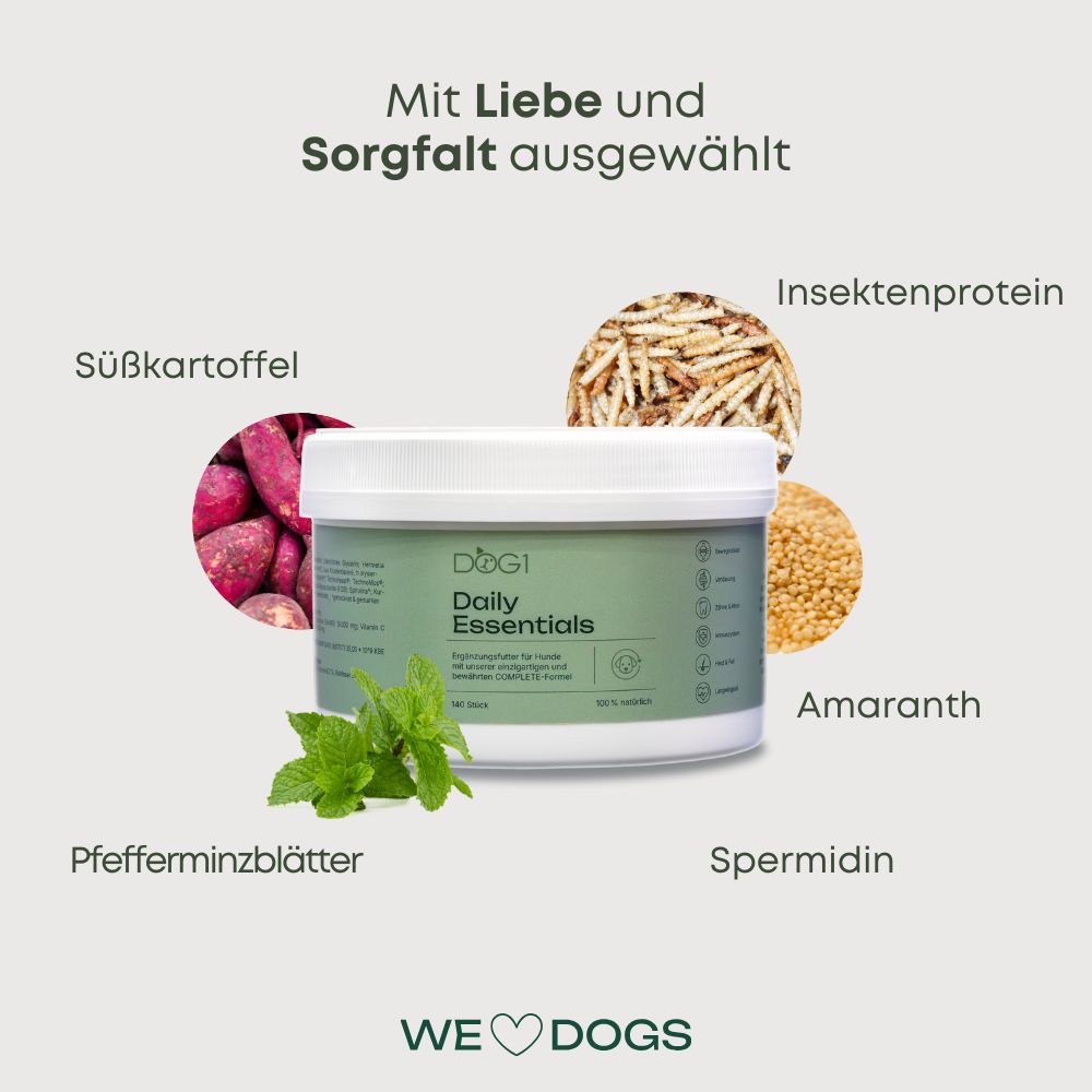Dose DOG1 Daily Essentials, umgeben von Süßkartoffeln, Pfefferminzblättern, Insektenprotein, Amaranth und Spermidin.