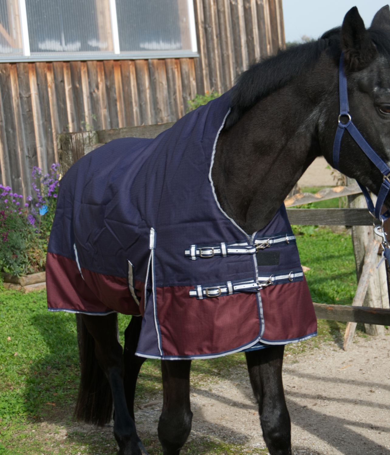 AMKA Pferde Weide Outdoordecke