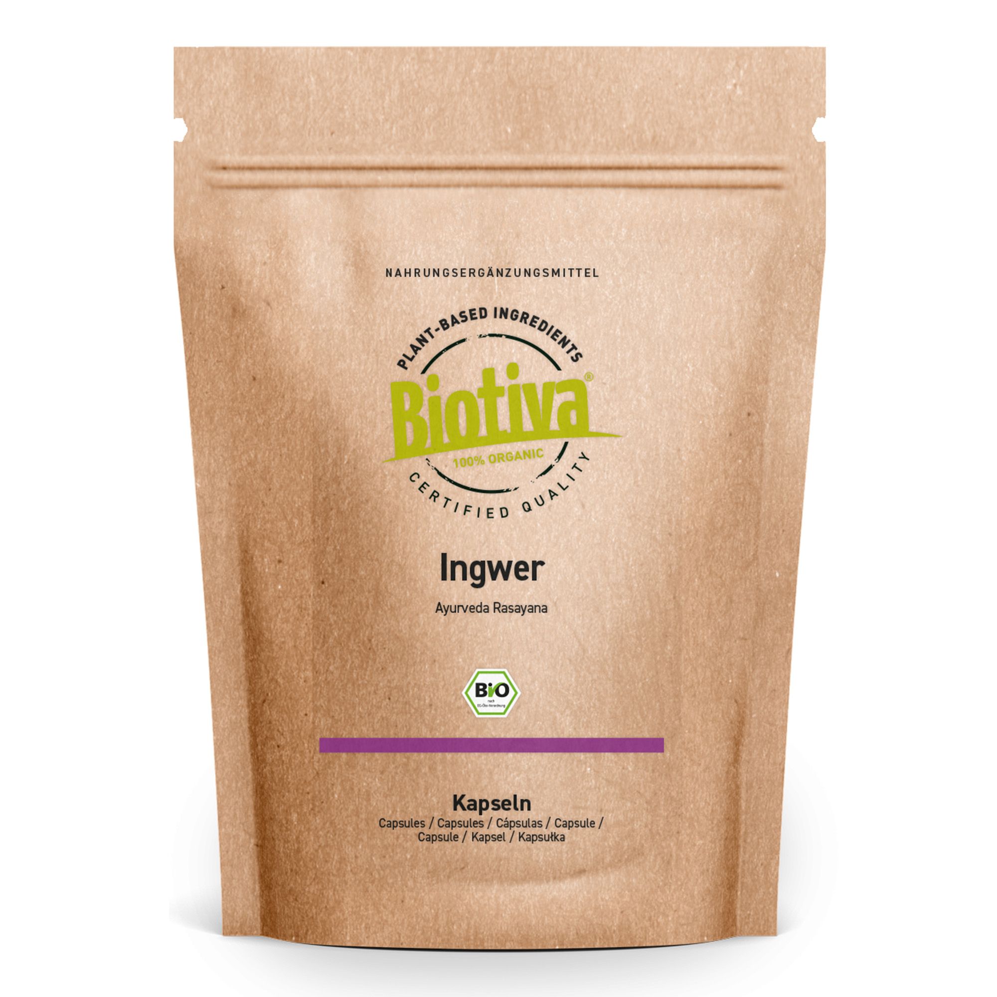 Ingwer Kapseln Bio 90 g