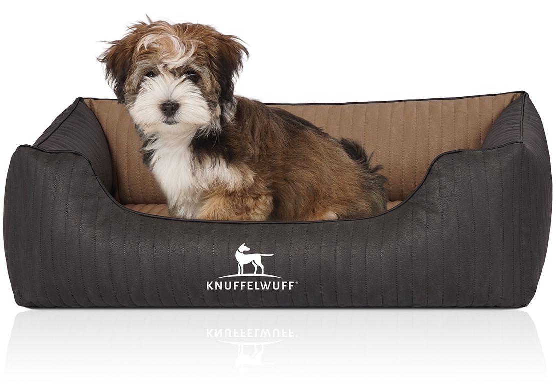 Hundebett Outback mit Hund. Dunkelgrau-braun. Rechteckige Form mit erhöhten Seiten. Logo. Hund sitzt im Bett.