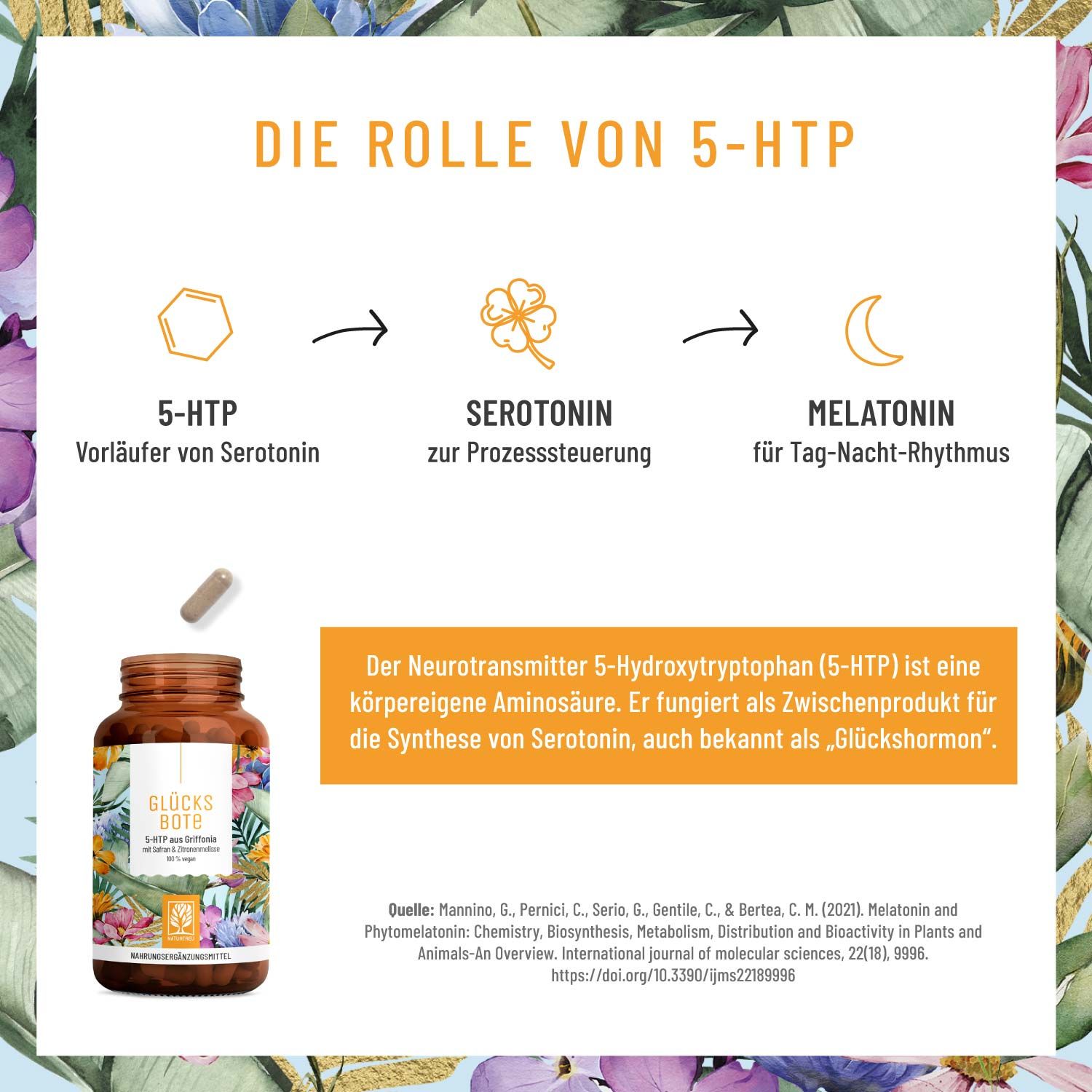 Schema der Rolle von 5-HTP: Vorläufer von Serotonin und Melatonin.