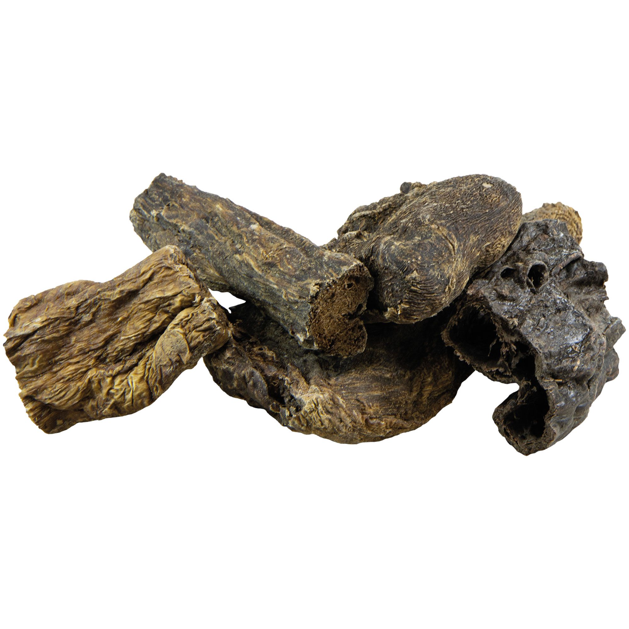 Getrocknete Rinderlunge, unregelmäßig geformt, braun und grau. Nahaufnahme, vor weißem Hintergrund.