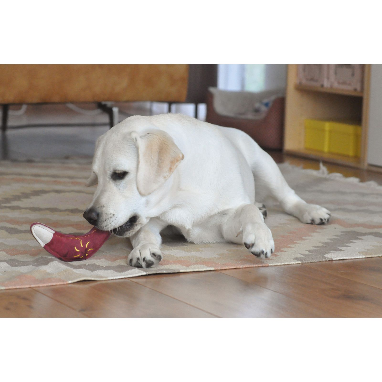 Aumüller Hundespielzeug aus Leder - Boomerang