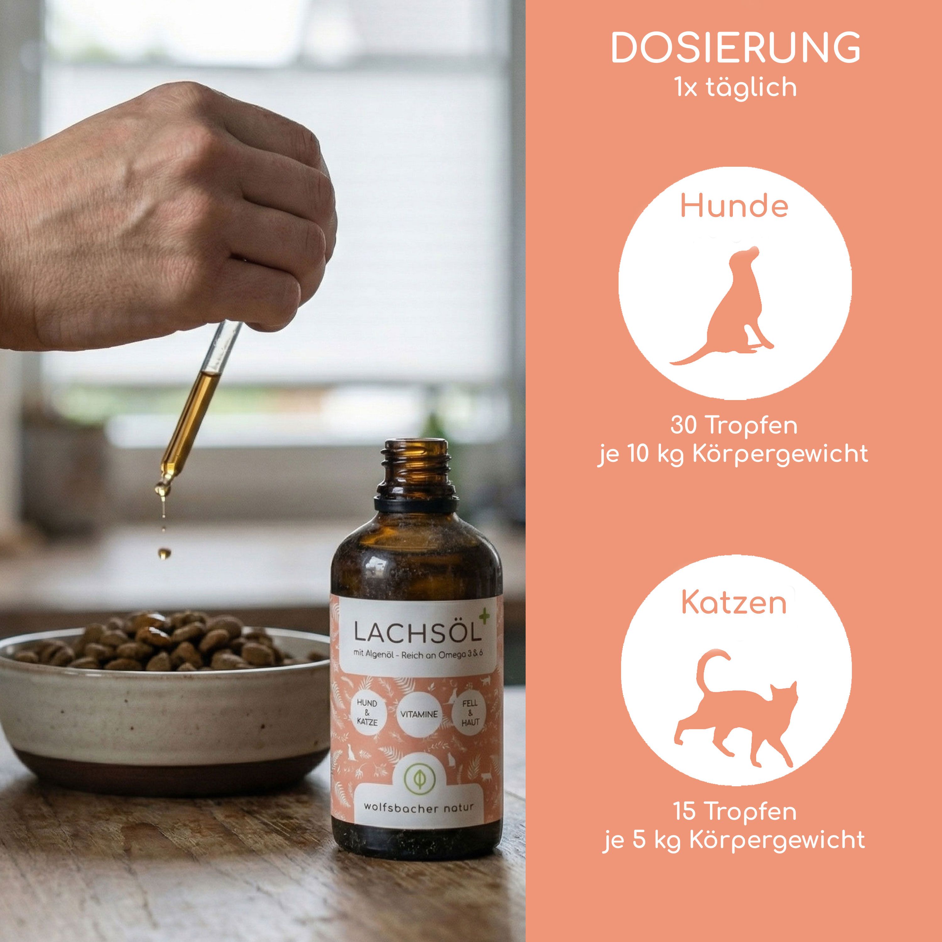 Hand mit Pipette, die Lachsöl in eine Schüssel tropft. Text: "DOSIERUNG 1x täglich". Illustrationen: Hund und Katze mit Dosierungsangaben in Tropfen pro kg Körpergewicht.