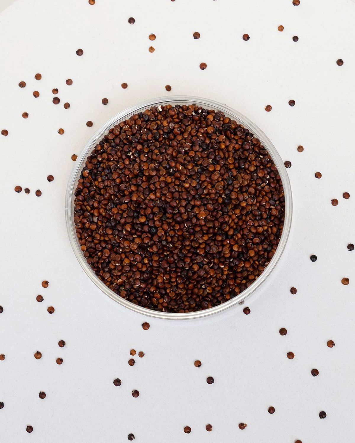 Runder, transparenter Behälter mit rotem Quinoa. Einzelne Quinoa-Körner verstreut auf weißem Untergrund.