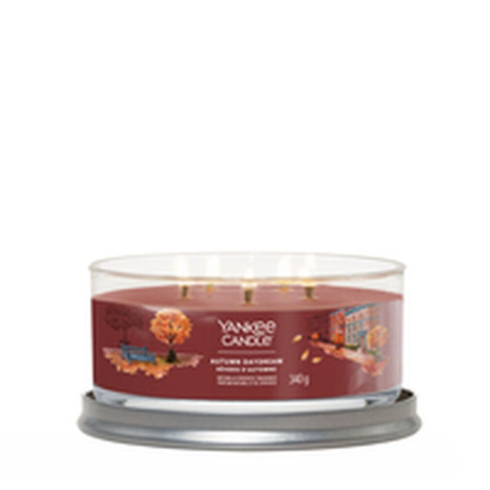 Runde Kerze im Glasbehälter. Braune Wachs, drei Dochte. Aufschrift: Yankee Candle, Autumn Daydream. 340g.