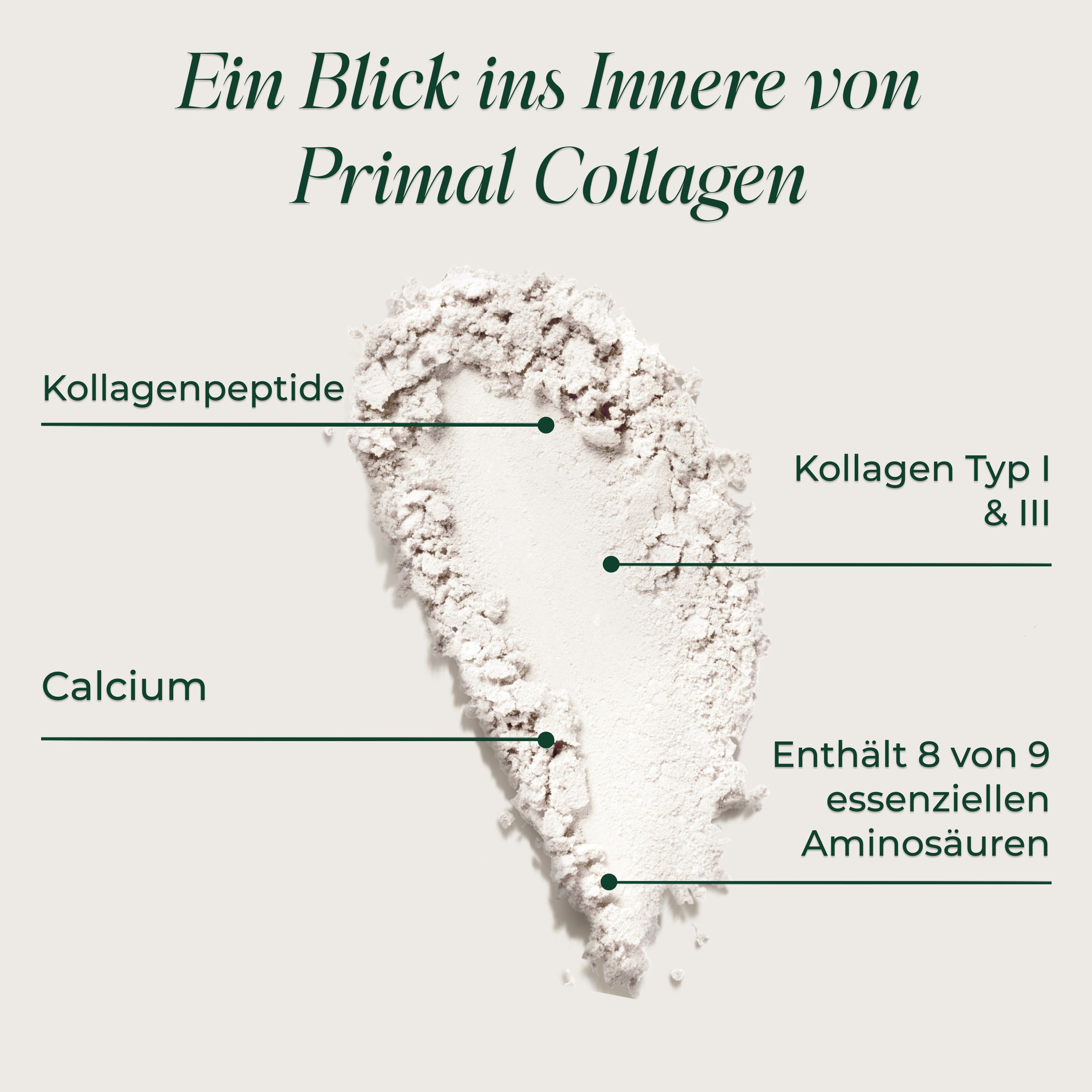 Primal Harvest® Collagen