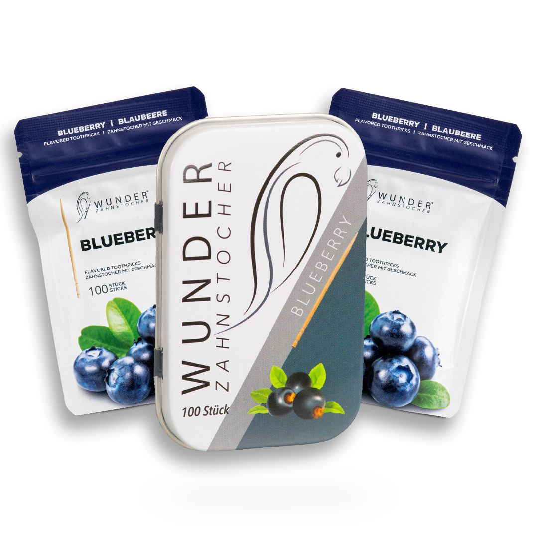 Metallbox und Nachfüllpackungen mit Zahnstochern. Blaubeeren-Illustrationen. 100 Stück. Blaubeere.