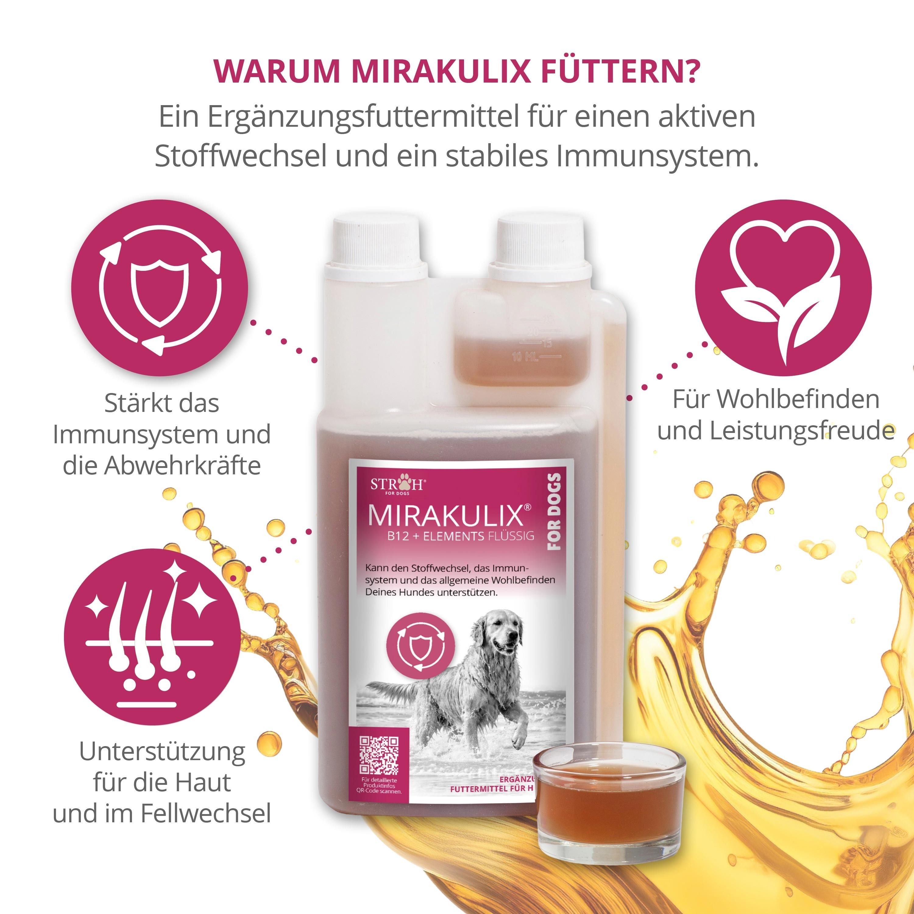 STRÖH MIRAKULIX B12 + ELEMENTS FLÜSSIG für Hunde. Infografik zeigt Vorteile wie Immunsystem-Stärkung und Hautunterstützung. Mit Dosierflasche und Messbecher.