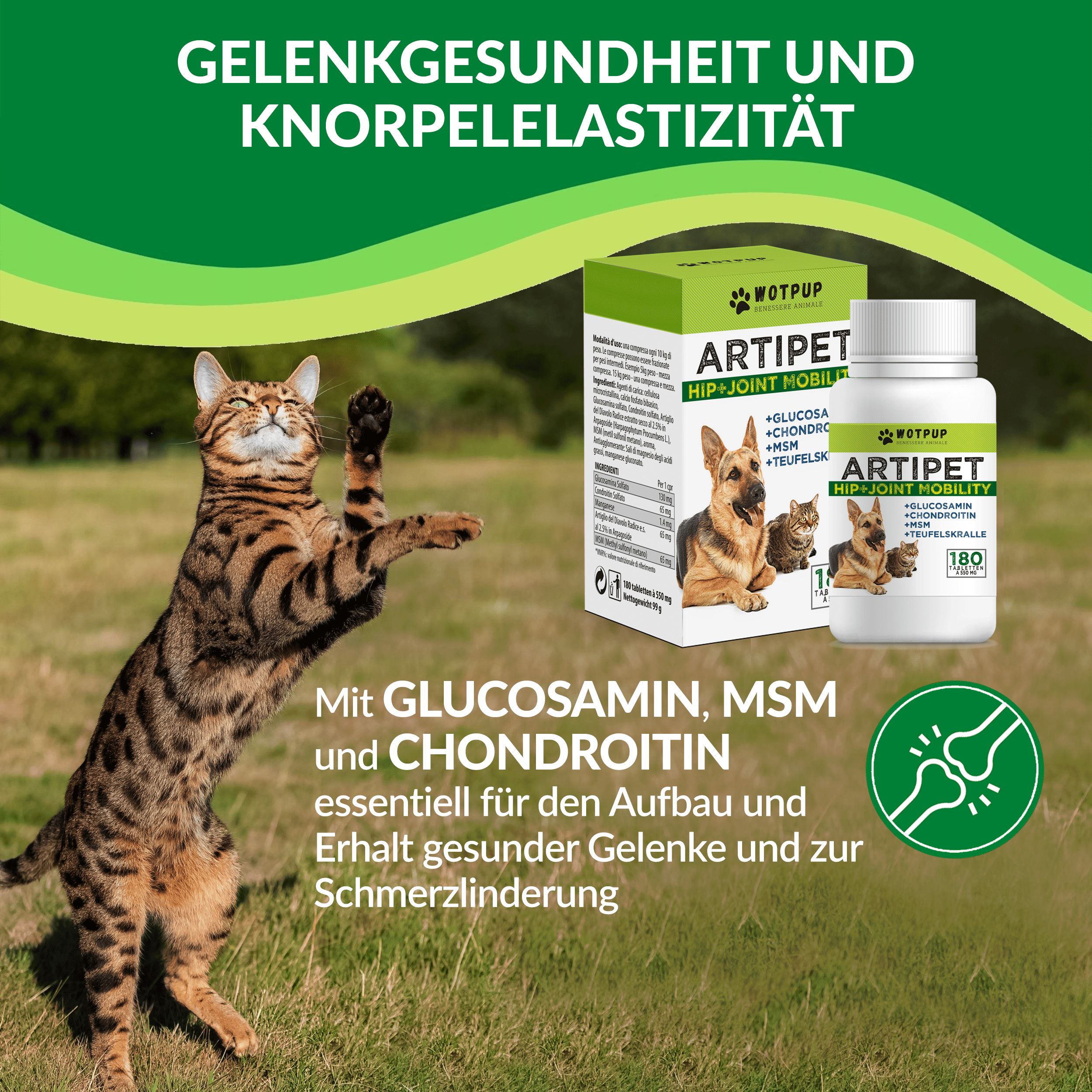 Artipet © Gelenknahrungsergänzung für Hunde und Katzen mit Glucosamin und Chondroitin