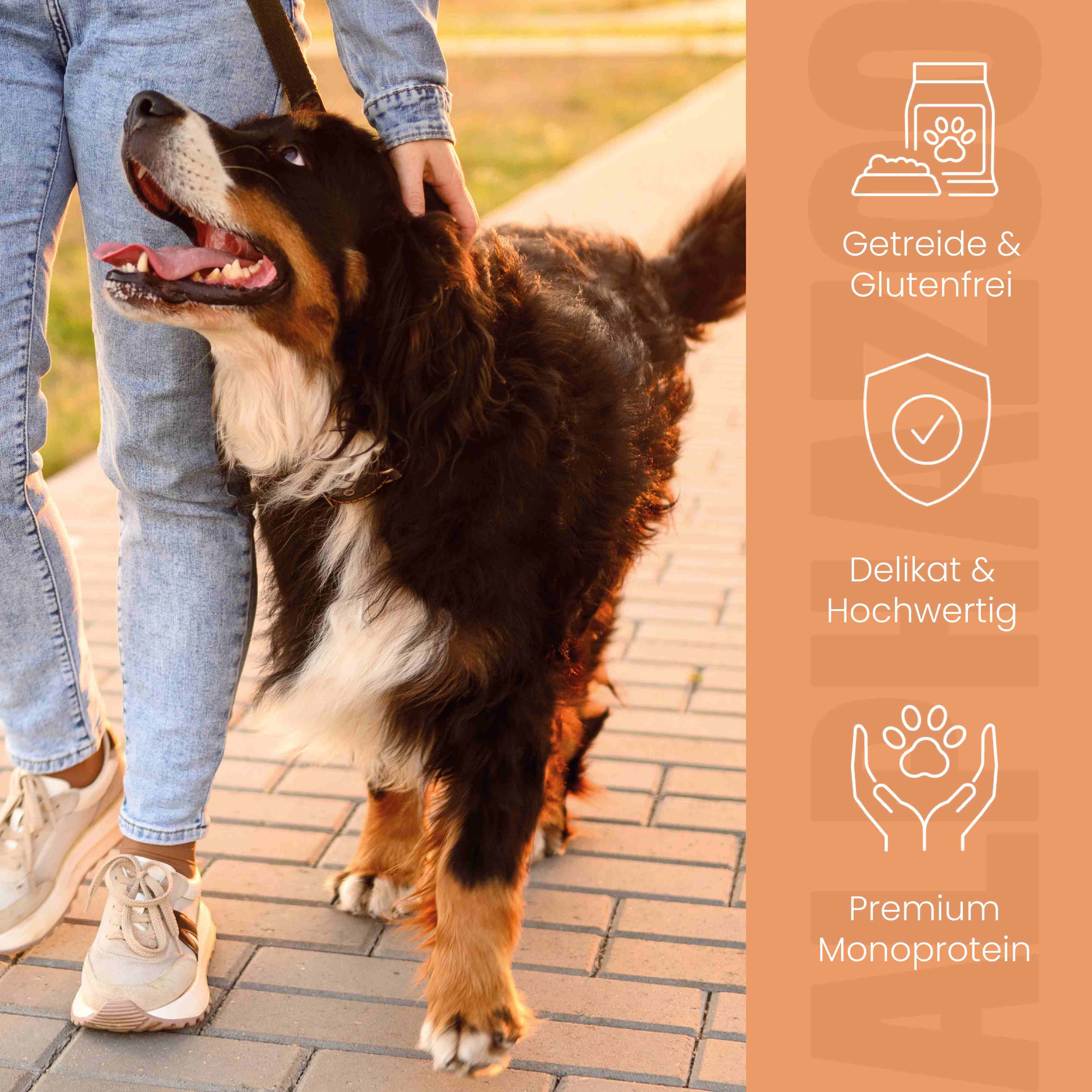 Hund wird von Person gestreichelt. Text: Getreide & Glutenfrei, Delikat & Hochwertig, Premium Monoprotein.