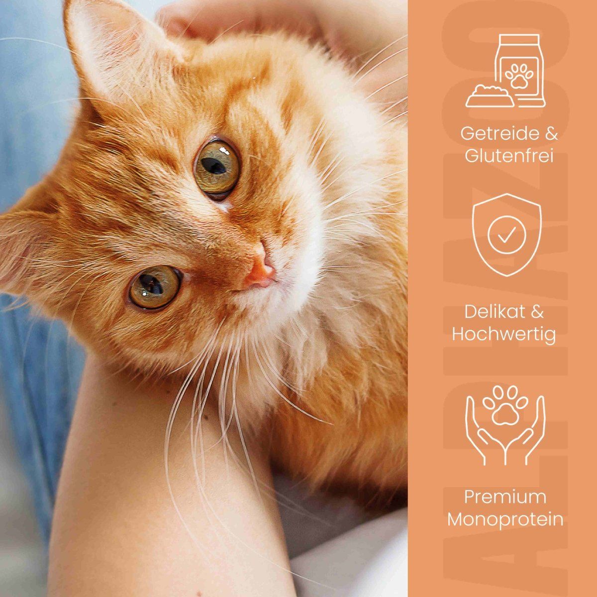 alphazoo Ente + Huhn Nassfutter für Katze