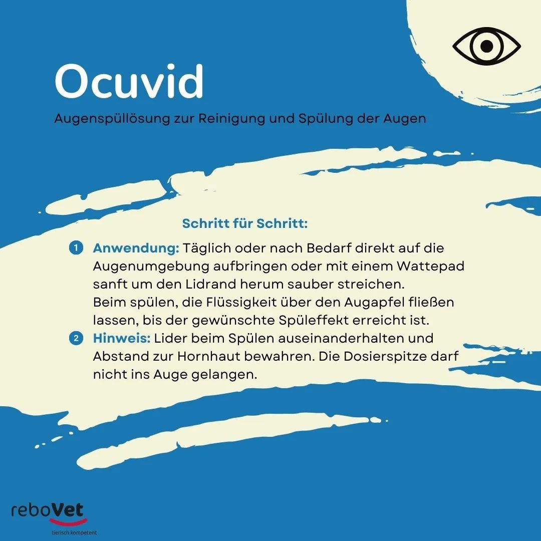 Anleitung zur Anwendung von Ocuvid Augenspüllösung.