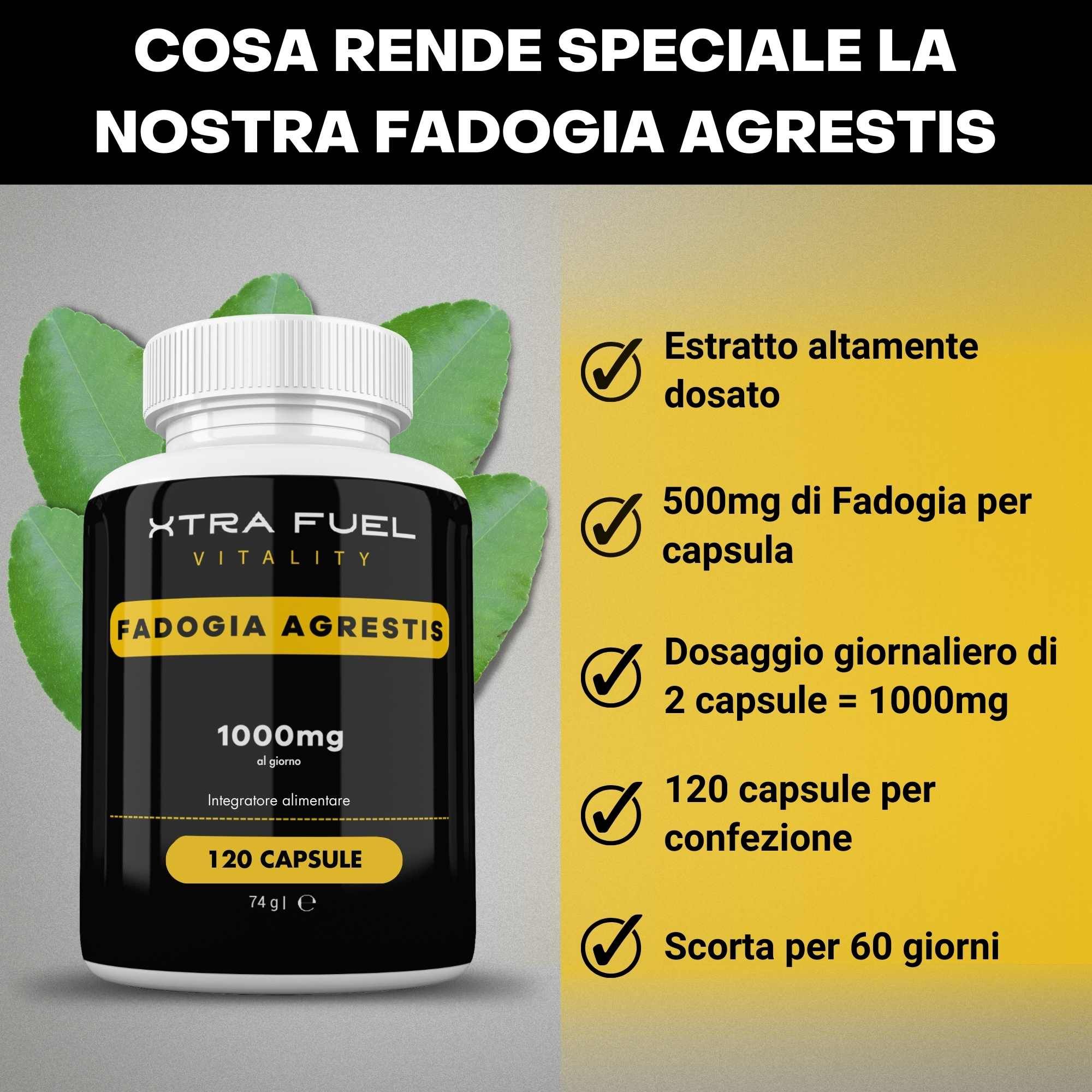 XTRA FUEL Fadogia Agrestis capsule. Flacone e infografica. 1000mg, 120 capsule. Scorta per 60 giorni.