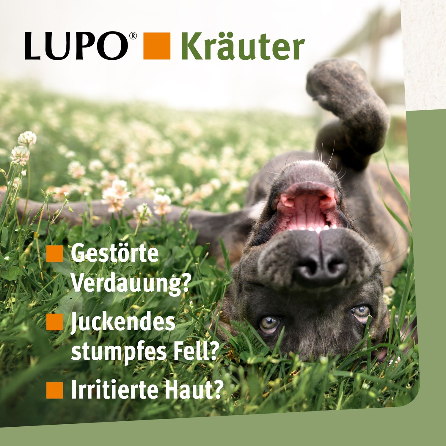 LUPO Kräuter - Pellets