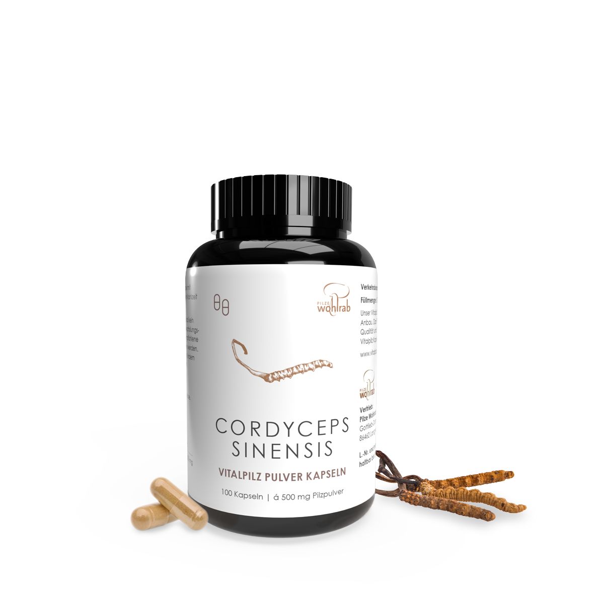 Braune Kapseln und Cordyceps sinensis neben einer schwarzen Flasche mit Cordyceps sinensis Pulverkapseln.