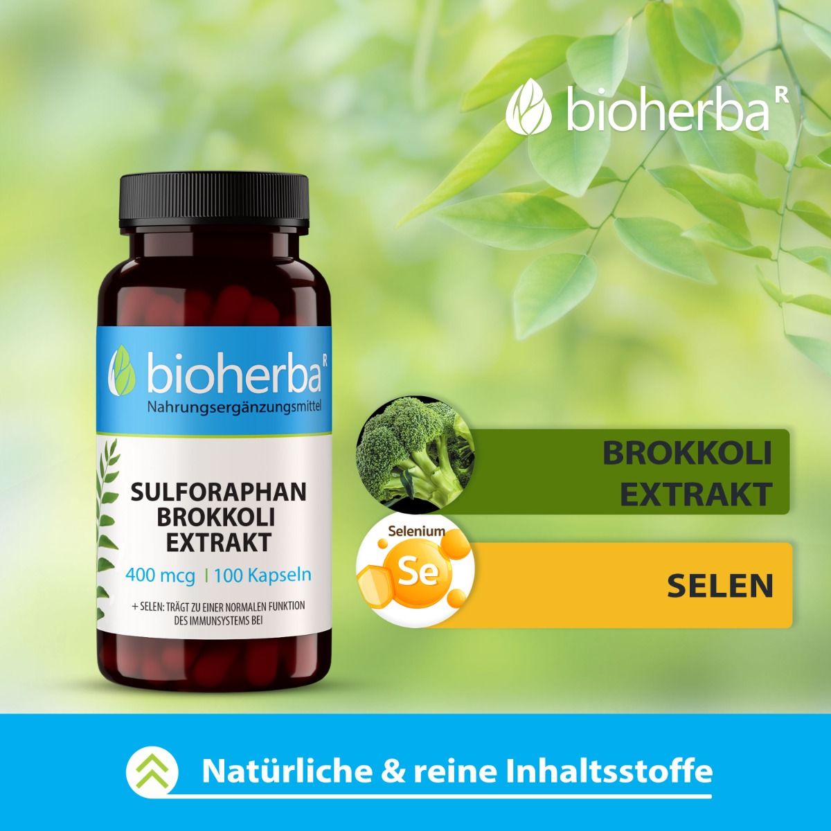 Braune Flasche mit Kapseln. Aufschrift: Sulforaphan Brokkoli Extrakt. Grafiken: Brokkoli und Selen. Text: Natürliche & reine Inhaltsstoffe.