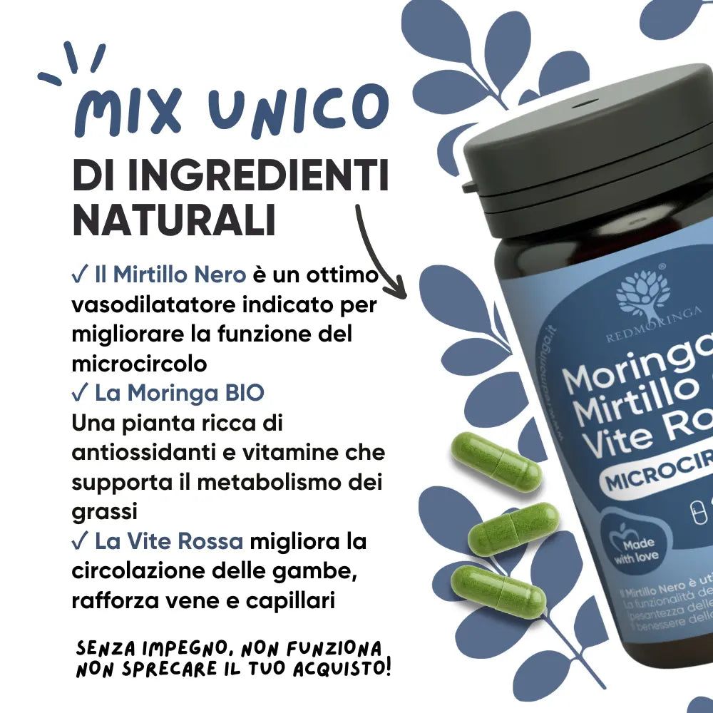RedMoringa Heidelbeere, Rotweinlaub & Bio Moringa
