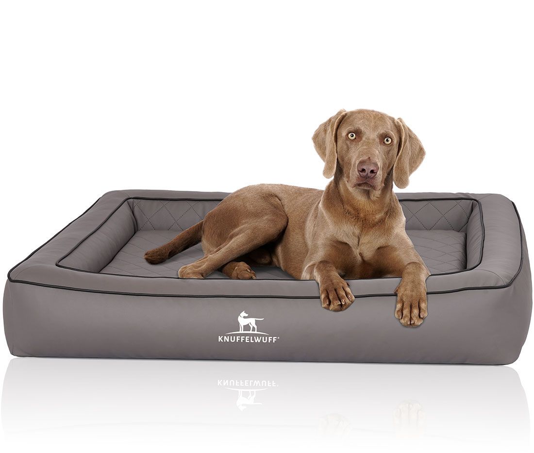 Graues orthopädisches Hundebett mit Hund. Quadratische Steppung, schwarze Umrandung. Logo: Knuffelwuff.