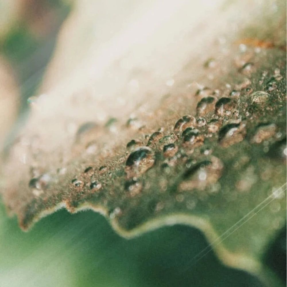 Zero Skin Feuchtigkeitsspendendes Gel, ölfrei  (mit Niacinamide), ausgleichend und hydratisierend