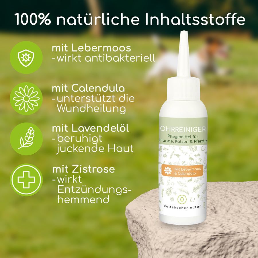 Wolfsbacher Natur Ohrentropfen 100 ml Spüllösung