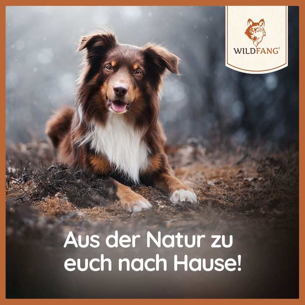 Hund liegt im Gras. Text: Aus der Natur zu euch nach Hause!