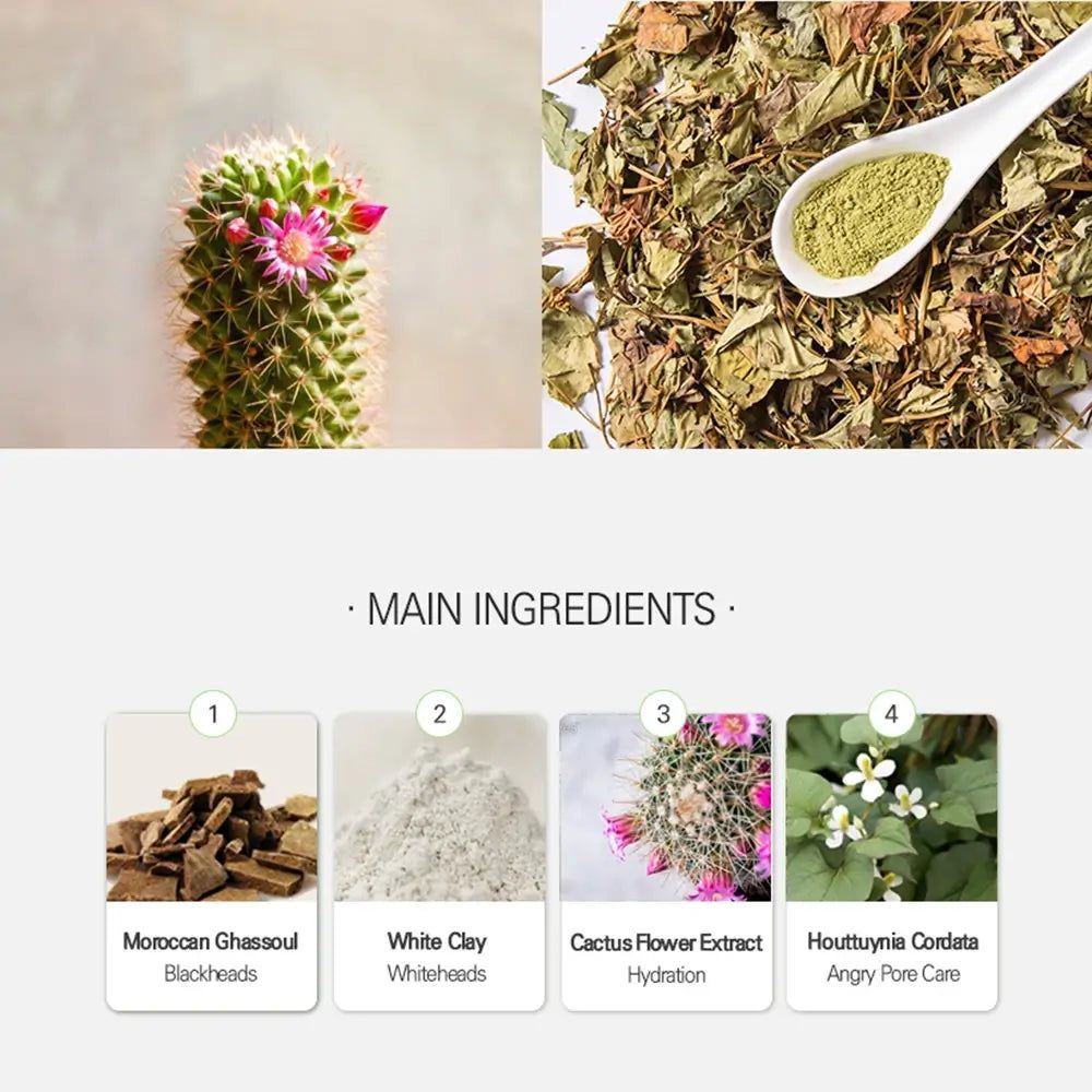 Kaktus mit rosa Blüten und getrocknete Kräuter mit Löffel voller Pulver.