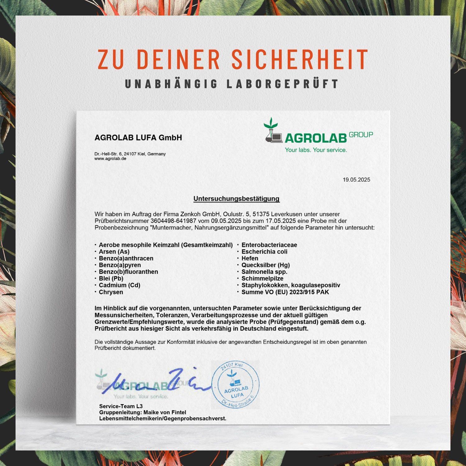 Koffein-Komplex mit Guarana, Mate, Grüner Tee, Grüner Kaffee & L-Tyrosin- Muntermacher - NATURTREU®
