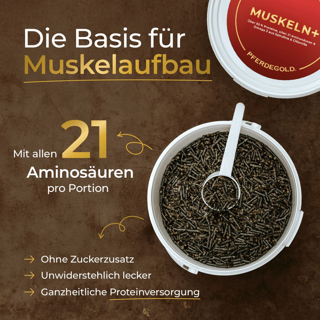 Pferdegold Muskeln+