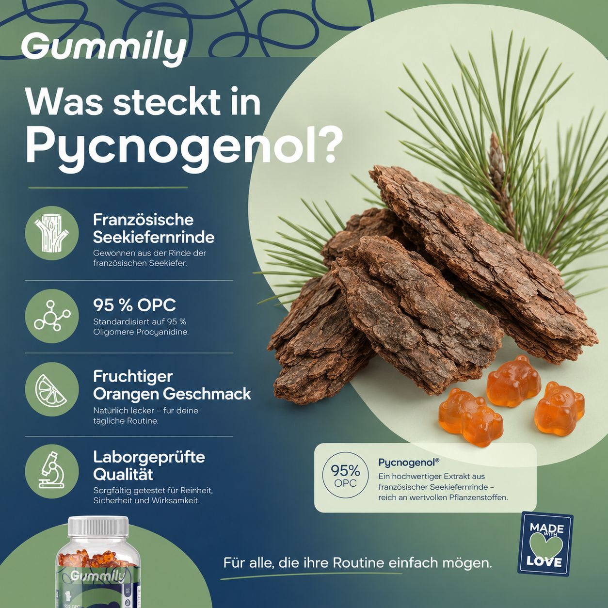 Gummily Pycnogenol: Französische See-Kiefernrinde, 95% OPC, fruchtiger Orangengeschmack.