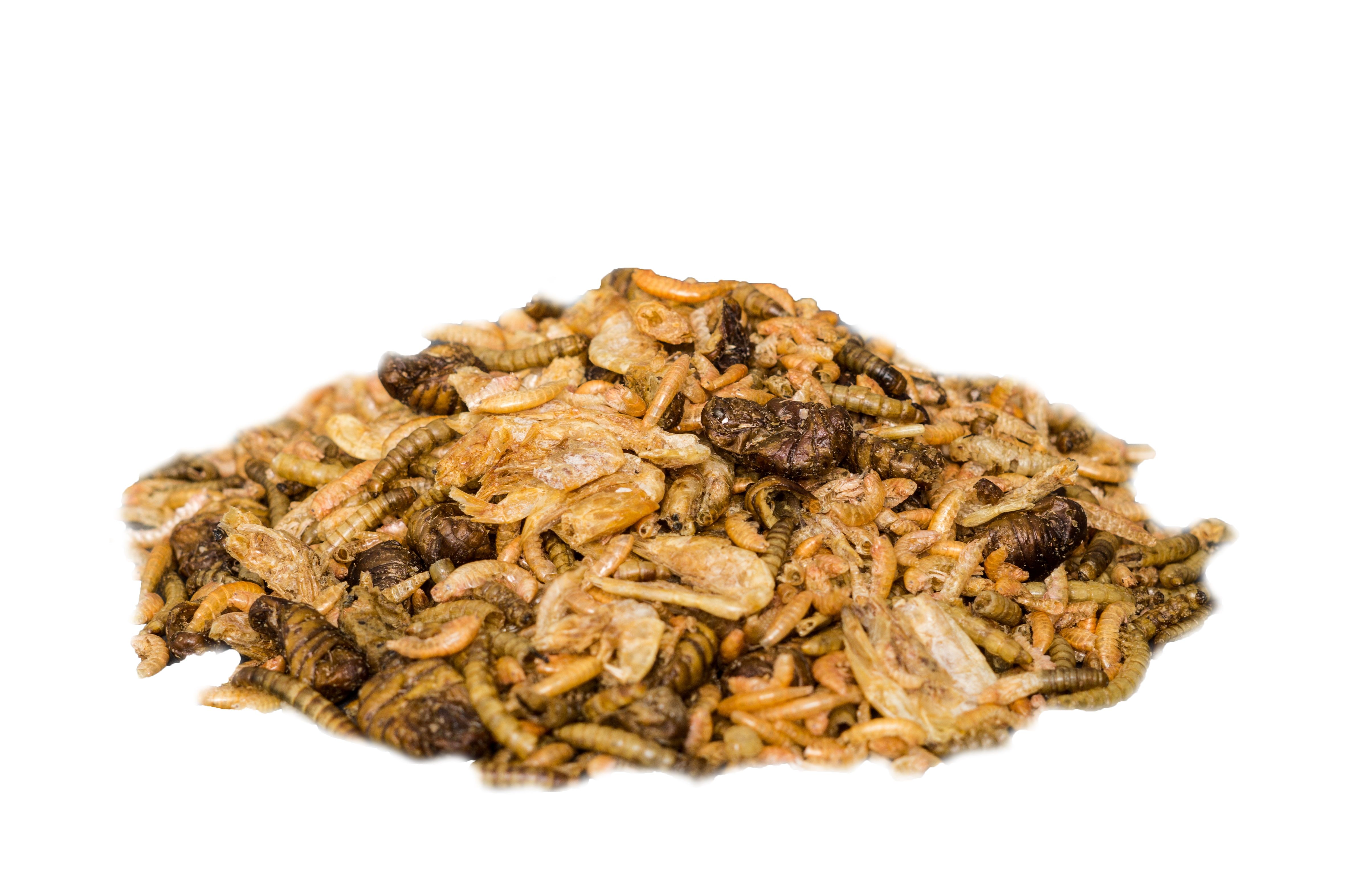 Insektus Mehr Sorten Mix 500 g