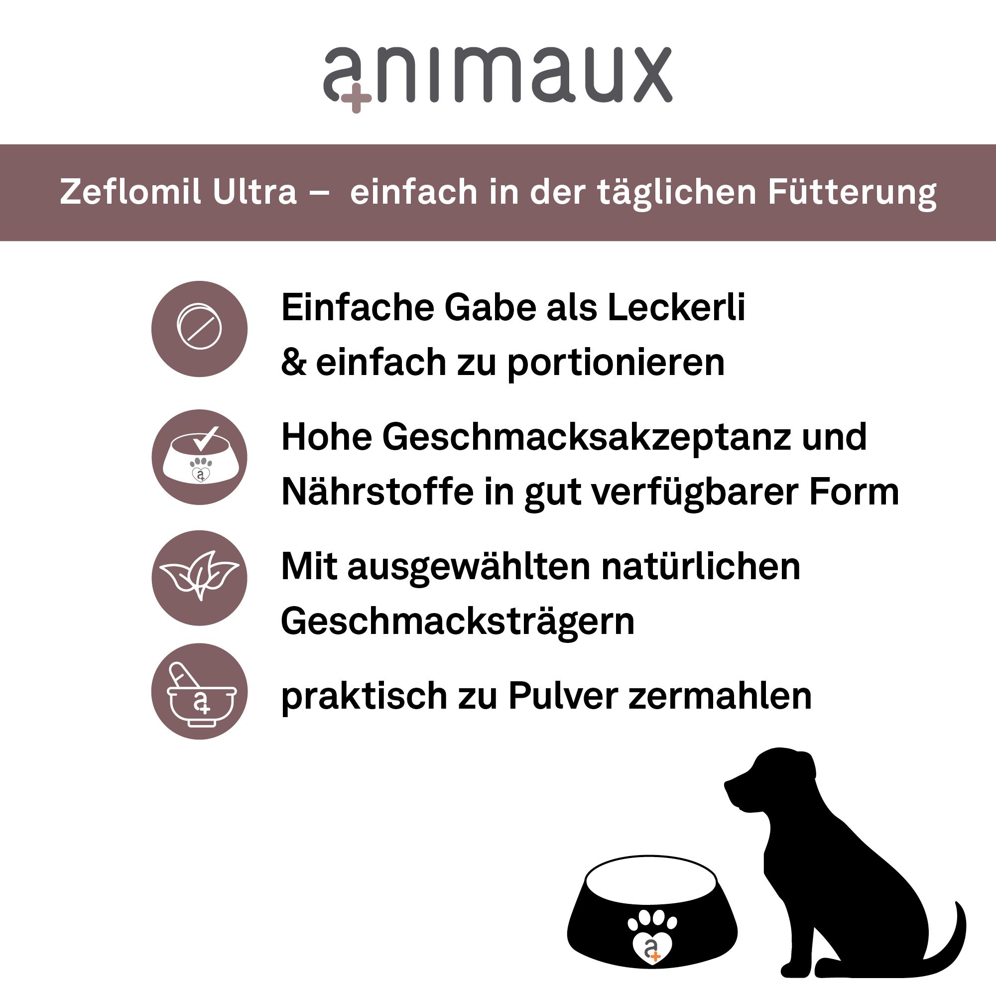 Flasche mit Kautabletten, mit Icons und Text über einfache Gabe, Geschmack und natürliche Trägerstoffe.