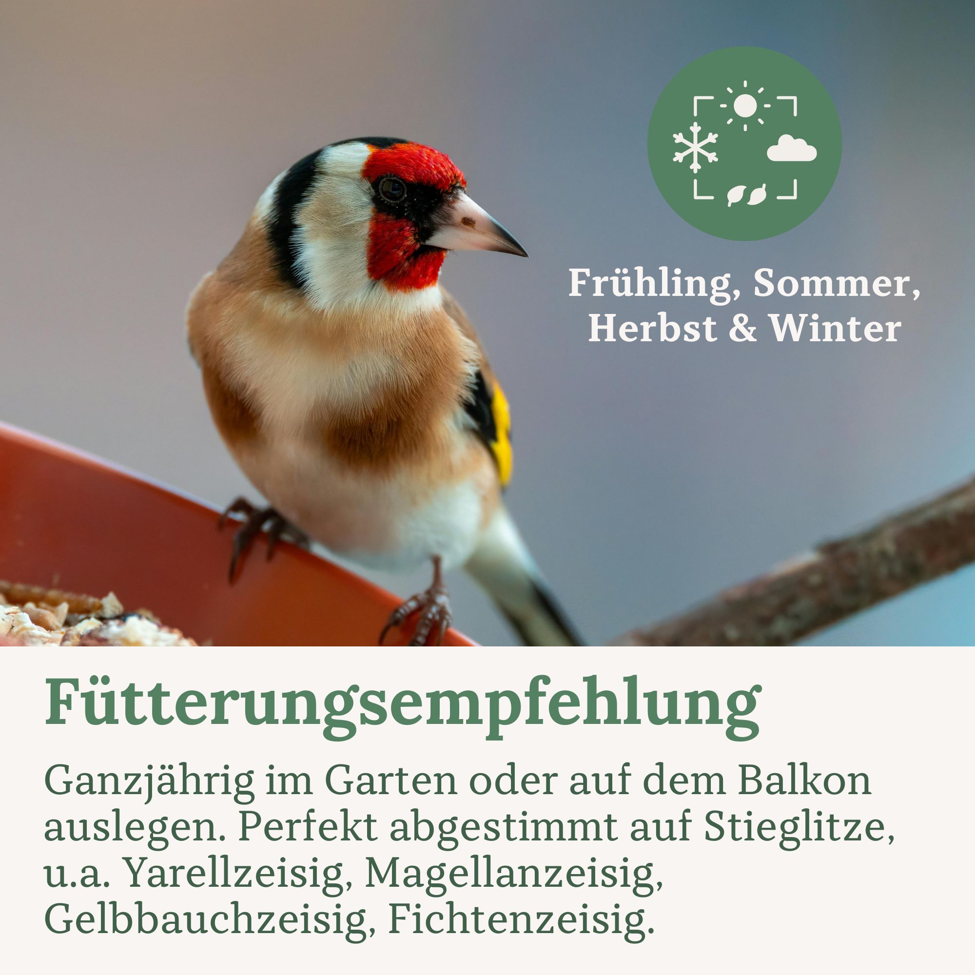Orni Stieglitz Super I schmackhaftes Wildvogelfutter für Stieglitze I wertvolle Saatenmischung