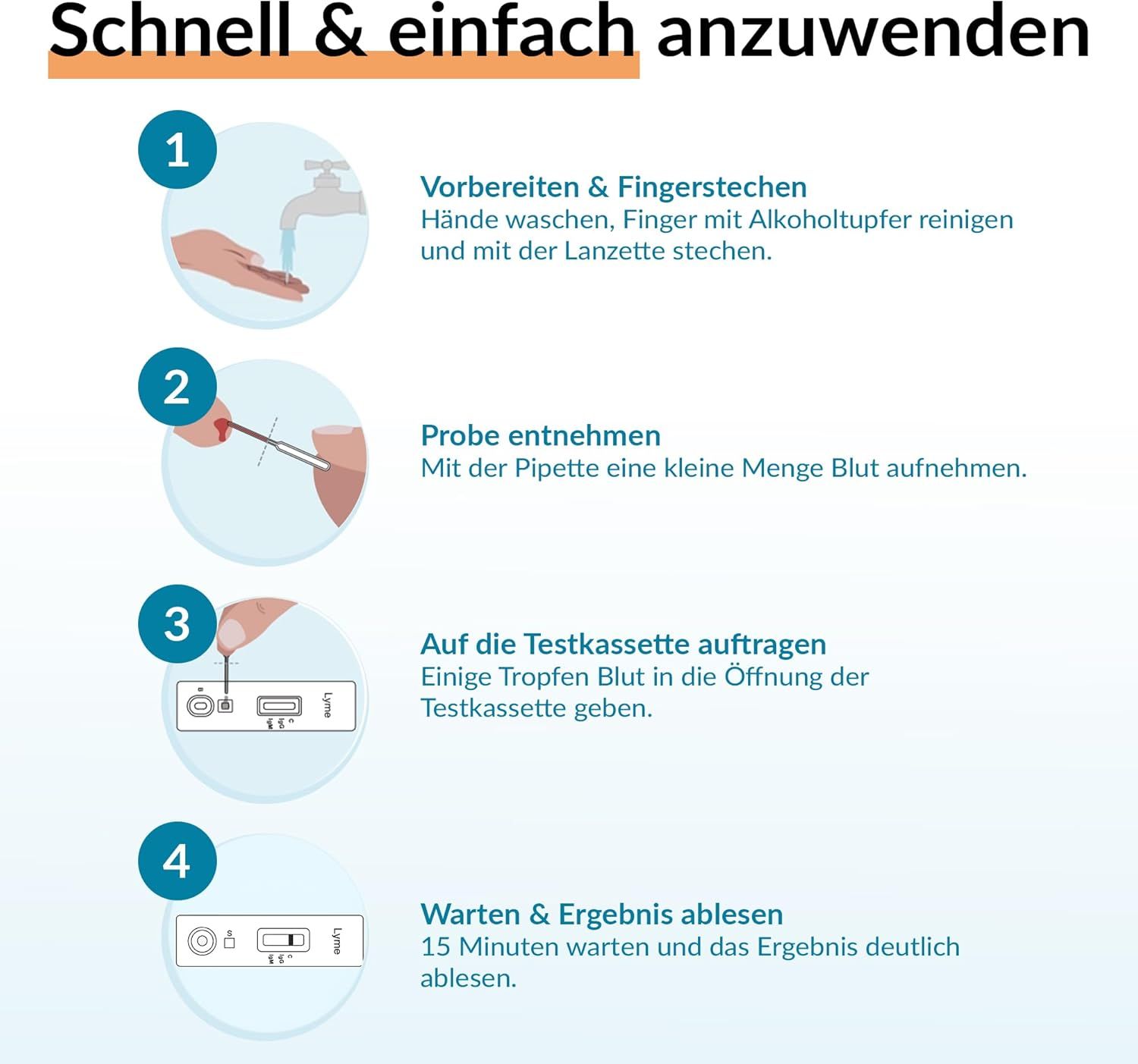 Infografik zur Anwendung des GetTested Borreliose-Tests. Schritte: Vorbereitung, Probenentnahme, Auftragen, Ergebnis ablesen.