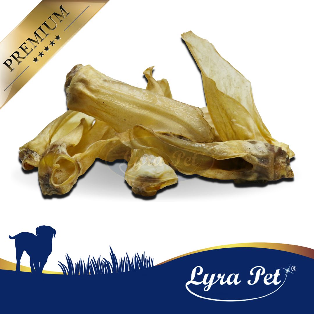 Lyra Pet® Rehohren