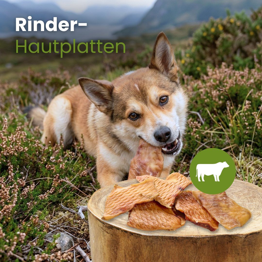 Ein Hund kaut auf einem Stück getrockneter Rinderhaut, daneben liegen weitere Stücke.