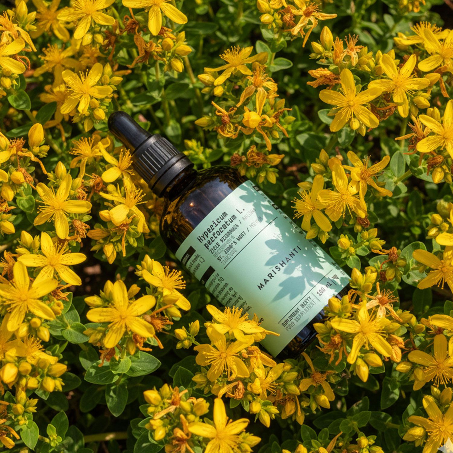 Braune Flasche mit Tropfer in gelben Blüten. Text: Hypericum perforatum L., Marishanti.
